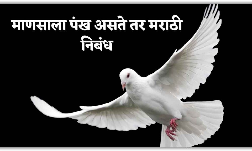 माणसाला पंख असते तर मराठी निबंध । Mansala Pankh Aste Tar Marathi Nibandh, मला पंख असते तर मराठी निबंध